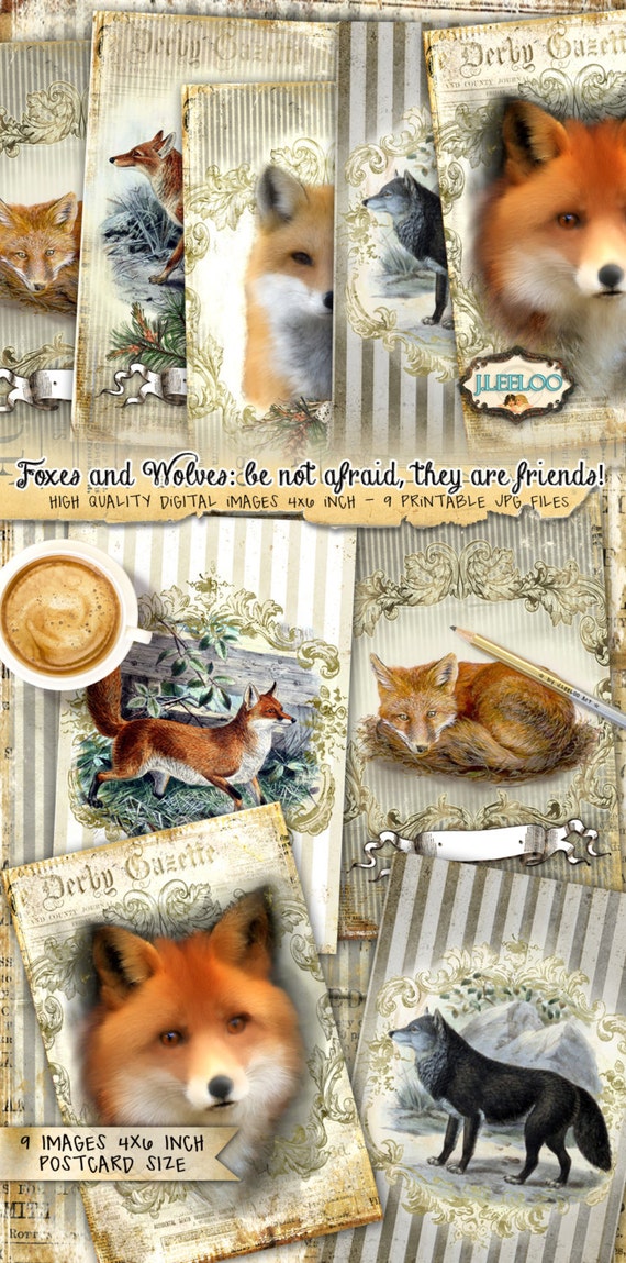 FOX AND WOLF 9 postcard Digital collage sheet mammal paper craft greeting cards scrapbook  journaling instant download printable pp313