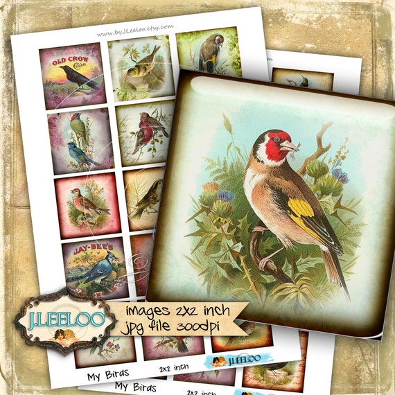 Digital printable sheet MY BIRDS 2x2 inch square mirrors paper good glass pendant magnet hang tags craft instant download qu448
