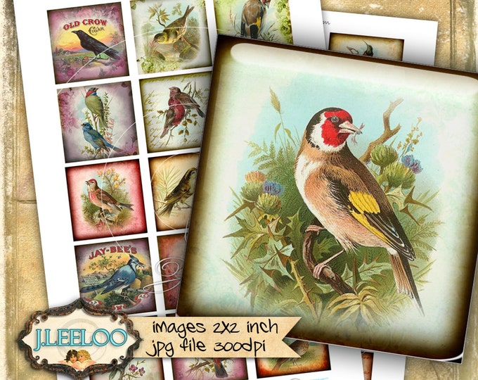 Digital printable sheet MY BIRDS 2x2 inch square mirrors paper good glass pendant magnet hang tags craft instant download qu448