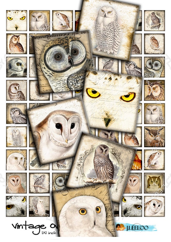 Digital paper VINTAGE OWL 1x1 inch square scary bird wings raptors pendants magnet stickers hang tags instant download printable qu276