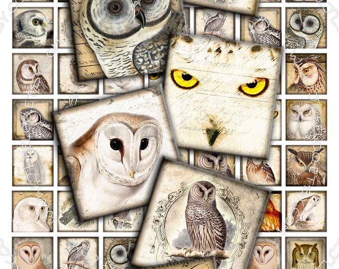 Digital paper VINTAGE OWL 1x1 inch square scary bird wings raptors pendants magnet stickers hang tags instant download printable qu276
