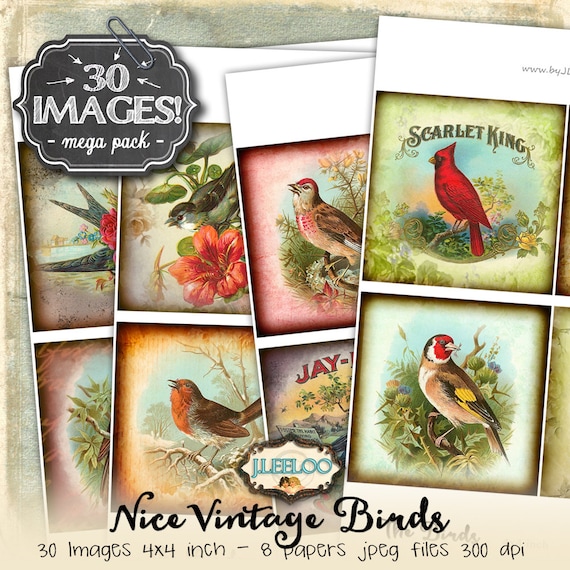 THE BIRDS 4x4 inch square digital collage sheets coaster greeting cards card making magnets instant download printablebig bundle qu480