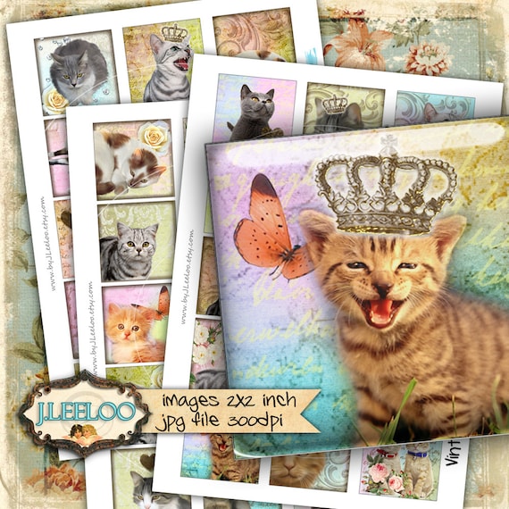 Digital collage sheet WONDER CAT'S 2x2 square puppie love kitten for pendant jewellery clipart magnet instant download print qu450