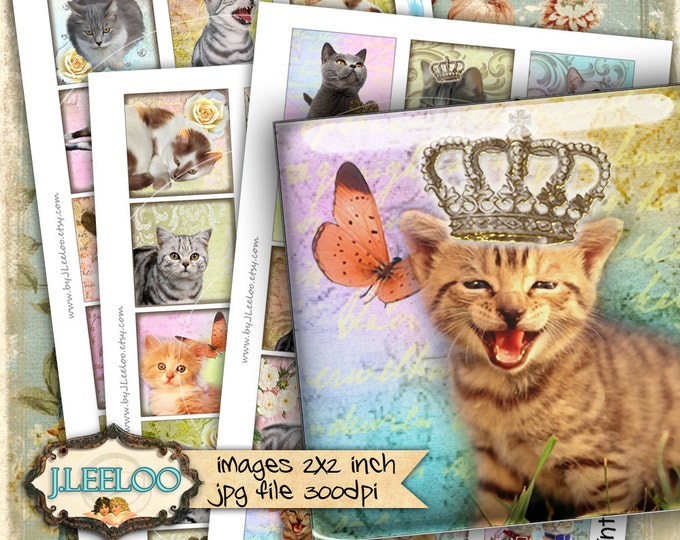 Digital collage sheet WONDER CAT'S 2x2 square puppie love kitten for pendant jewellery clipart magnet instant download print qu450