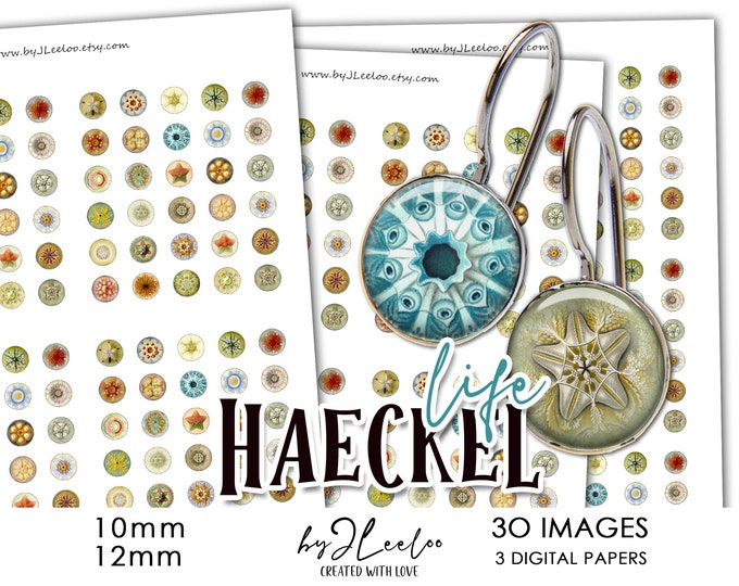 Digital printable HAECKEL LIFE 10mm and 12mm circle sheets earring ring size nature digital images for jewelry instant download | tn474