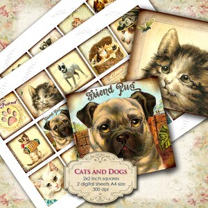 Digital collage sheets CATS AND DOGS  2x2 inch square for pendant clipart pet magnet instant download printable qu122