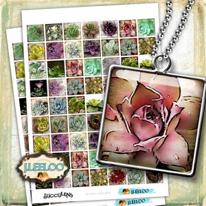 Digital collage SUCCULENTS 1 x 1 inch quadrat für magnete scrap schmuck glas anhänger hang tags scrapbook original download qu442