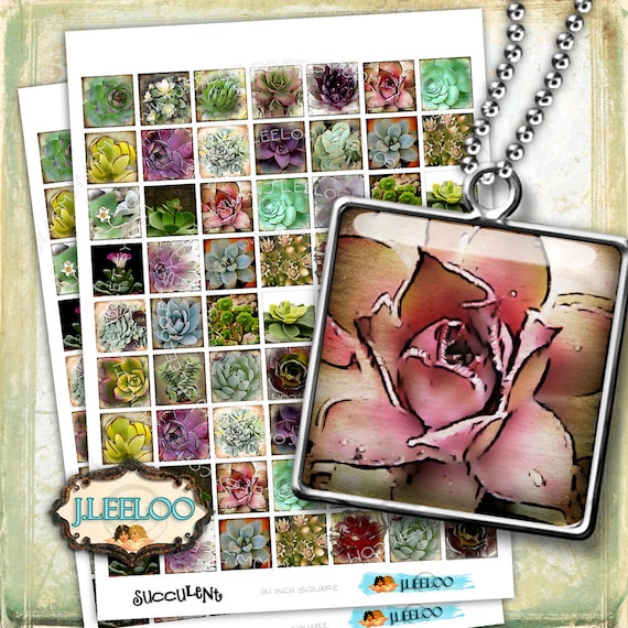 Digital collage SUCCULENTS 1x1 inch square for magnets scrap jewelry glass pendant hang tags scrapbook original instant download qu442