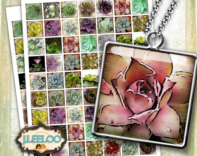 Digital collage SUCCULENTS 1x1 inch square for magnets scrap jewelry glass pendant hang tags scrapbook original instant download qu442