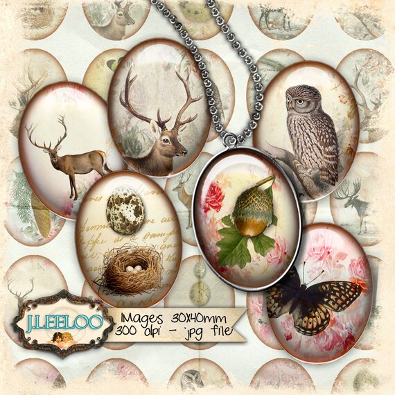 IN THE FOREST 30x40mm oval dragonfly deer owl eggs nest romantic for magnets glass / resin pendants printable instant download ov129
