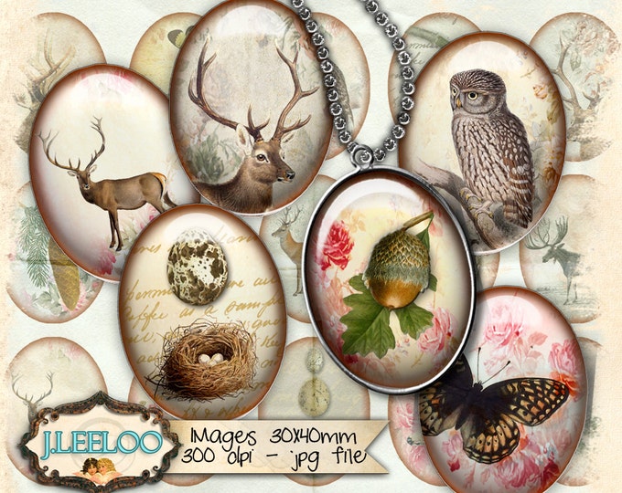 IN THE FOREST 30x40mm oval dragonfly deer owl eggs nest romantic for magnets glass / resin pendants printable instant download ov129