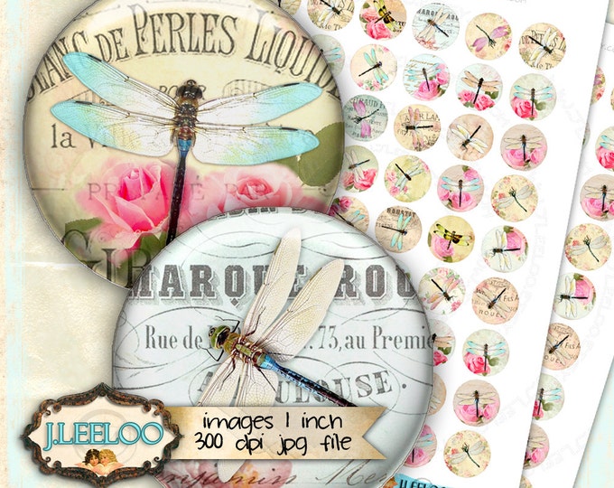 Digital printable DRAGONFLY 1 inch circle insect paper goods shabby chic vintage pendant craft instant download tn419
