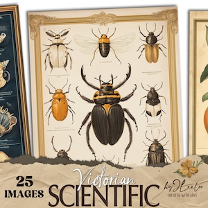 Pages de journal vintage de camelote naturaliste VICTORIAN SCIENTIFIC | entomologie botanique collage numérique poster texture de fond CU | page 828