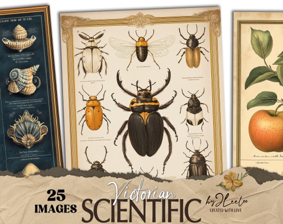 VICTORIAN SCIENTIFIC vintage naturalistic junk journal pages | entomology botanical digital collage poster texture background CU | pp828
