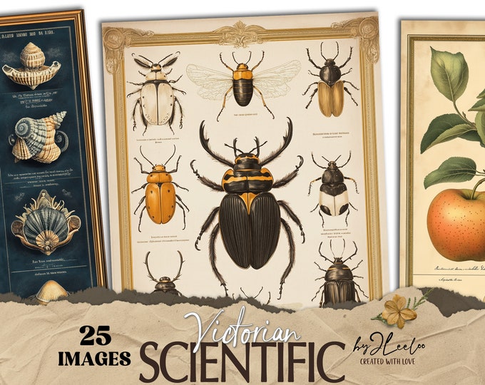 VICTORIAN SCIENTIFIC vintage naturalistic junk journal pages | entomology botanical digital collage poster texture background CU | pp828