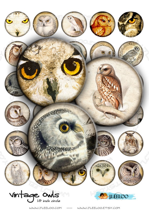 Digital paper VINTAGE OWL 1.5 inch circle scary bird wings raptors pendants magnet stickers pendant craft instant download printable tn183