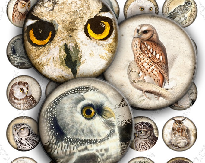 Digital paper VINTAGE OWL 1.5 inch circle scary bird wings raptors pendants magnet stickers pendant craft instant download printable tn183