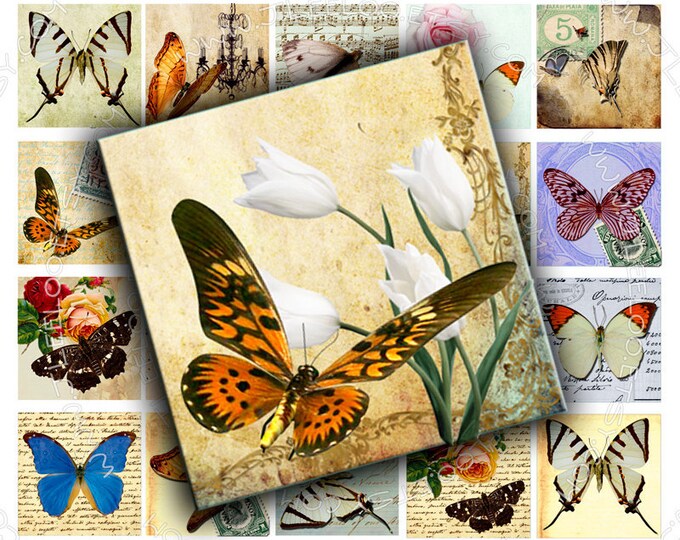 Digital collage sheet MAGIC BUTTERFLY 1.5x1.5 inch square for glass pendant clipart insect magnet instant download printable qu321