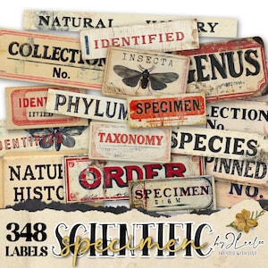ÉCHANTILLON SCIENTIFIQUE entomologie à imprimer | Mot étiquettes autocollants vintage Nature indésirable journal | collection d'art de scrapbooking CU | tl303