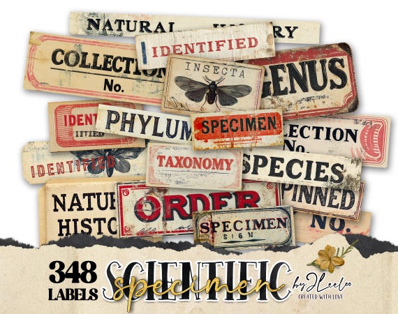 SCIENTIFIC SPECIMEN printable Entomology | Word Labels Vintage Stickers Nature Junk journal | scrapbooking collection art CU | tl303