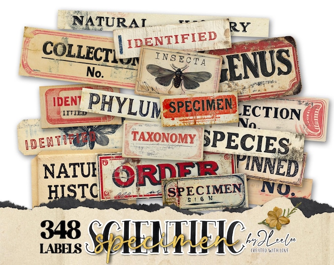 SCIENTIFIC SPECIMEN printable Entomology | Word Labels Vintage Stickers Nature Junk journal | scrapbooking collection art CU | tl303