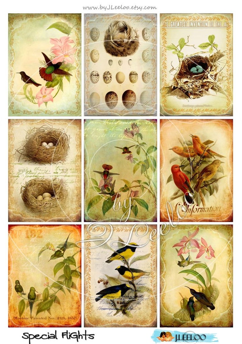 May include: A collage of nine vintage illustrations featuring birds, nests, and eggs. The images are in a rustic style with faded colors and a distressed look. The text "The Greatest Invention of the Age" and "Information" are visible in the collage.