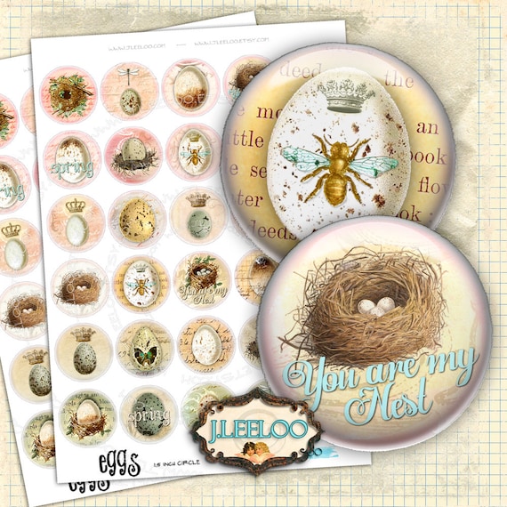Digital collage EGGS 1.5 inch circle bird vintage royal bee nest for mirrors hang tags clipart magnet instant download printable tn391