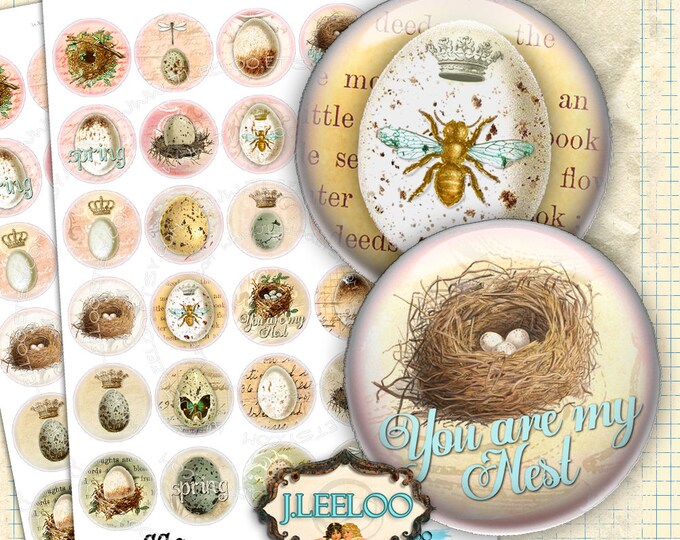Digital collage EGGS 1.5 inch circle bird vintage royal bee nest for mirrors hang tags clipart magnet instant download printable tn391