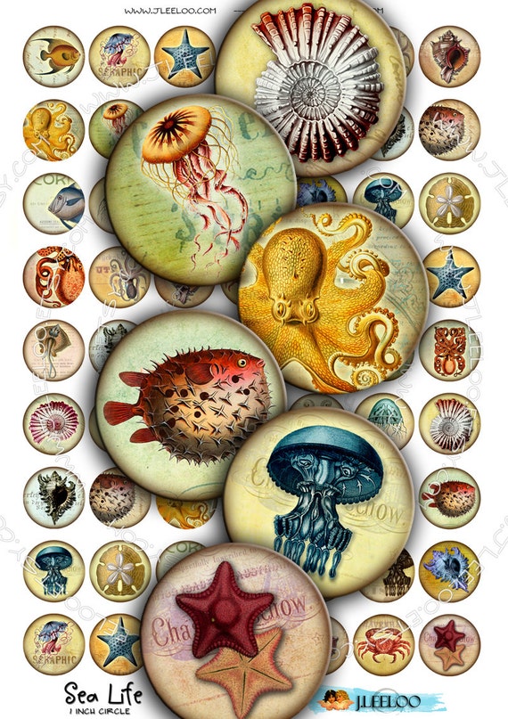Digital paper SEA LIFE 1 inch circle octopus jellyfish fish ernst haeckel magnet stickers pendant craft instant download printable tn176