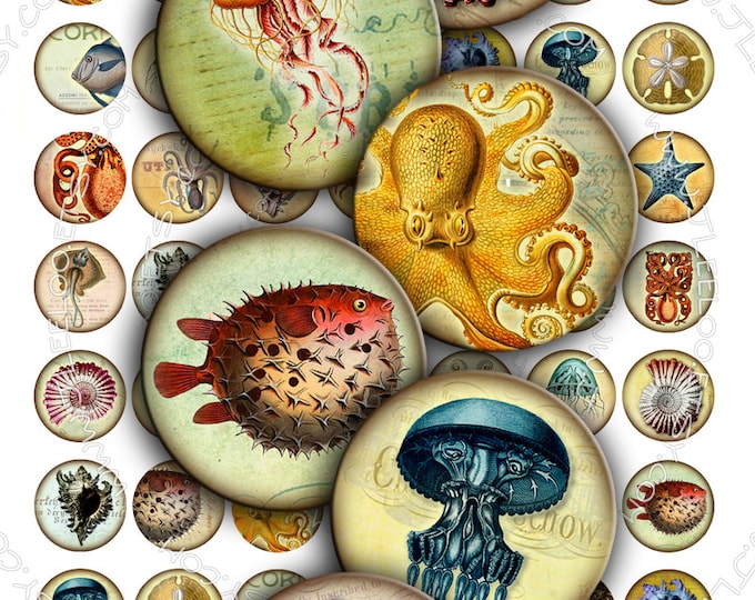 Digital paper SEA LIFE 1 inch circle octopus jellyfish fish ernst haeckel magnet stickers pendant craft instant download printable tn176