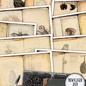 May include: A set of 12 digital printable scrapbook paper sheets with a vintage, gothic, and Halloween theme. The papers feature images of owls, bats, ravens, skeletons, and anatomical illustrations. The text on the papers reads "Download and Print", "12 Sheets with Two Pages Each", "3 Sheets Decorated for Inside Pages or Covers", and "6 Sheets with Embellishments: Cards, Tags, Pockets, Labels".