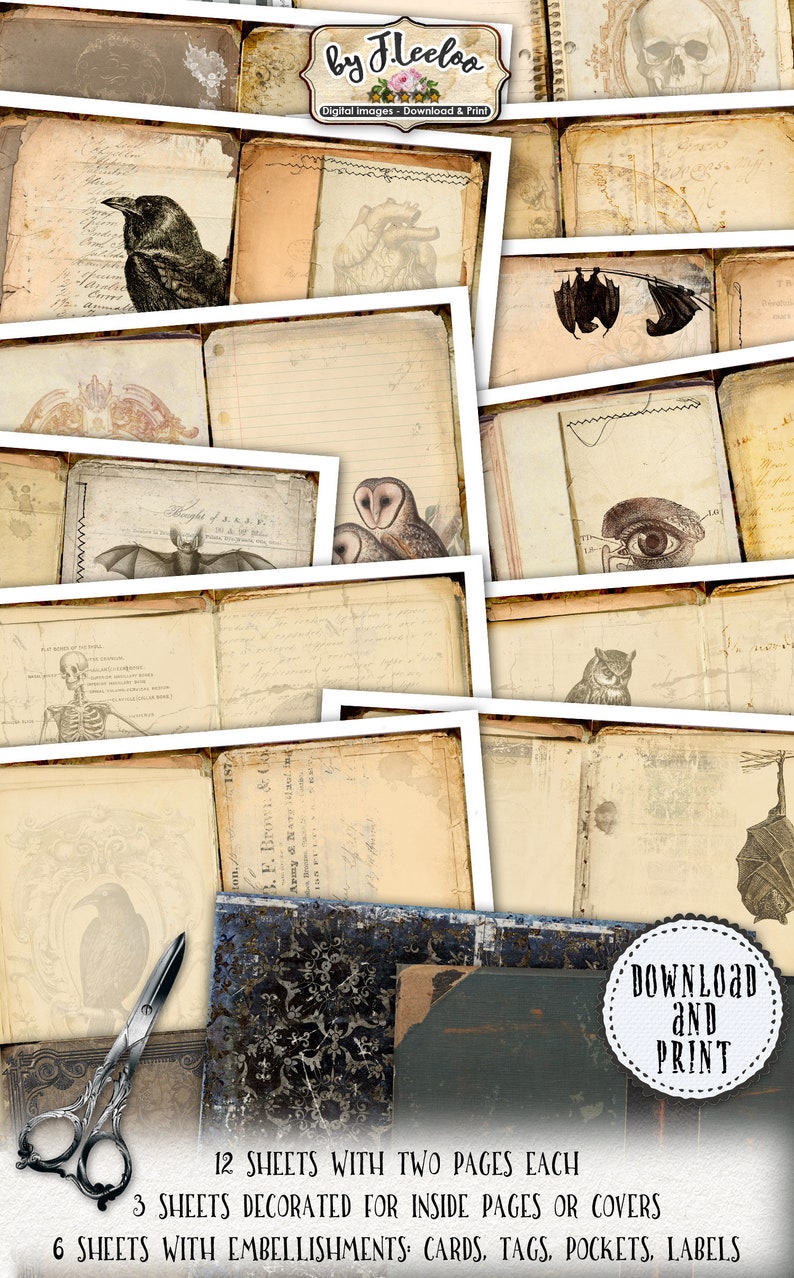 May include: A set of 12 digital printable scrapbook paper sheets with a vintage, gothic, and Halloween theme. The papers feature images of owls, bats, ravens, skeletons, and anatomical illustrations. The text on the papers reads "Download and Print", "12 Sheets with Two Pages Each", "3 Sheets Decorated for Inside Pages or Covers", and "6 Sheets with Embellishments: Cards, Tags, Pockets, Labels".