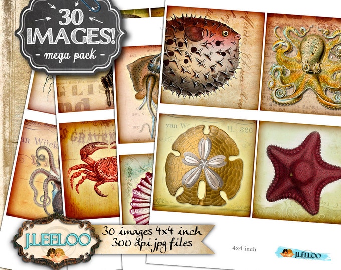 Digital collage SEA LIFE 4x4 inch square ernst heackel coaster greeting cards card making magnets instant download printable qu398