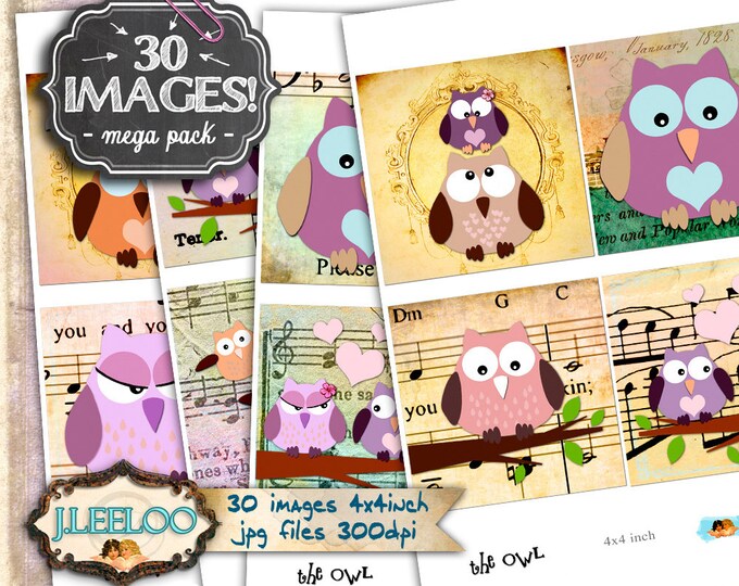 Digital collage THE OWL 4x4 inch square owl valentine card coaster greeting cards card making magnets instant download printable qu397