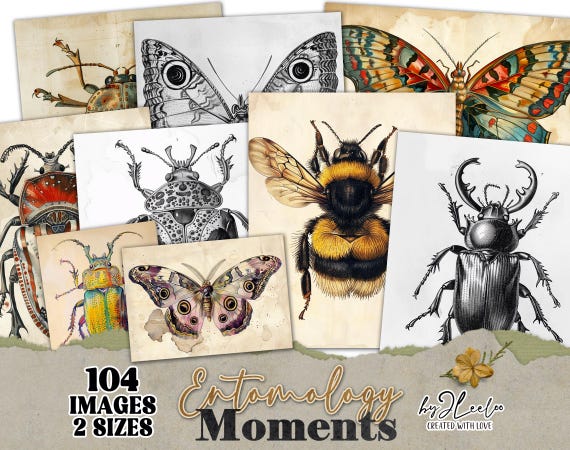 ENTOMOLOGY MOMENTS vintage cards | Old naturalistic papers junk journal garden | digital background Insect collection Mixed media | pp829