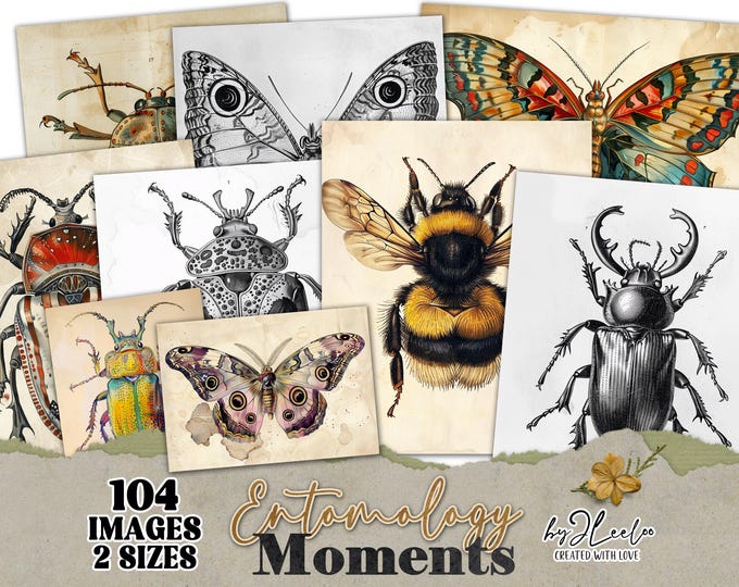 ENTOMOLOGY MOMENTS vintage cards | Old naturalistic papers junk journal garden | digital background Insect collection Mixed media | pp829