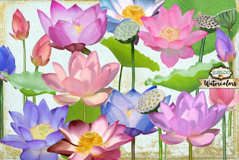 May include: Watercolor painting of pink, purple, and blue lotus flowers with green leaves. The painting is titled "JuleeLoo Watercolors".