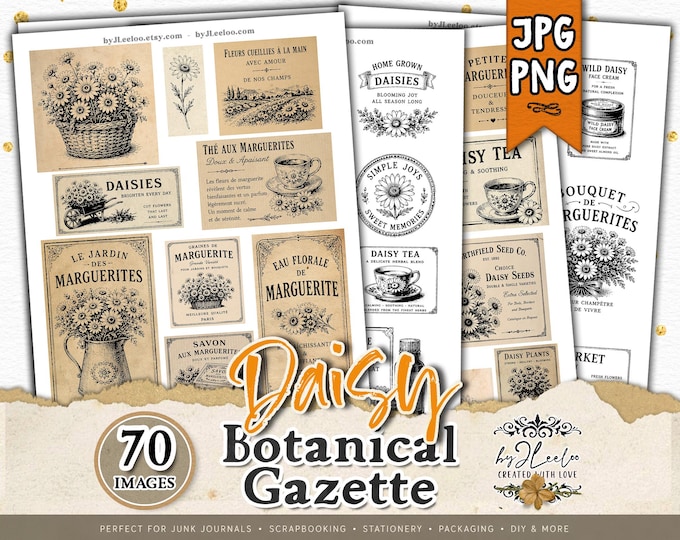 BOTANICAL GAZETTE Daisy Vintage Ads PNG & Printable Sheets, Floral Ephemera, Black Ink Stamp Clipart | cl218