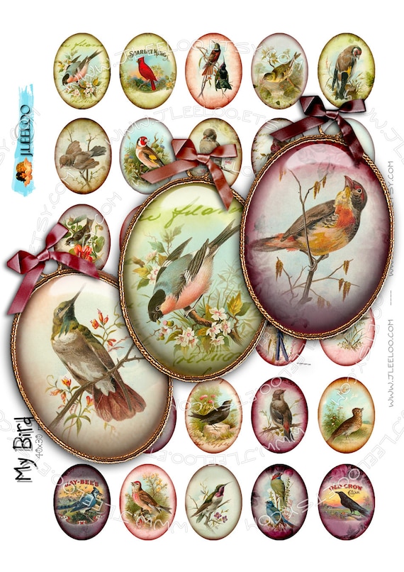 Digital collage MY BIRDS oval printable 30x40 mm victorian garden paper goods for pendants digital collage instant download paper ov119