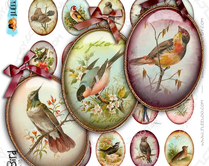 Digital collage MY BIRDS oval printable 30x40 mm victorian garden paper goods for pendants digital collage instant download paper ov119