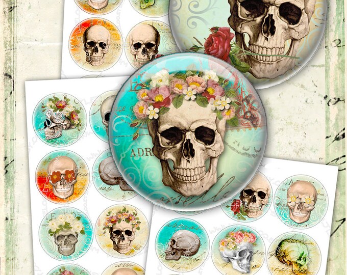 Digital collage sheets THE SKULL 2.5 inch circle hang tags magnet stickers mirrors pendant day of dead print instant download tn447