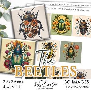 DIE KÄFER 2,5x2,5 Zoll printable | Zubehör quadratischer Anhänger Kamee Charme Aufkleber Schlüsselanhänger | digitales Journal Dekoration Insekt | Herstellung | qu607