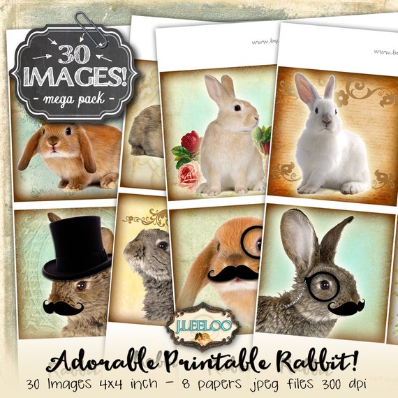 Plantillas De Troquel De Corte Con Temática De Pascua, Caja En Forma De Conejo 3D Con Plantillas De Plantilla Con Patrón De Huevo Para álbum De Recort, Fabricación De Tarjetas, 2 Uds