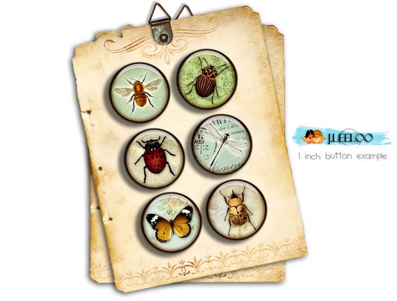 Digital collage sheet INSECT 1.313 inch for button machine printable instant download digital sheet nature tn237