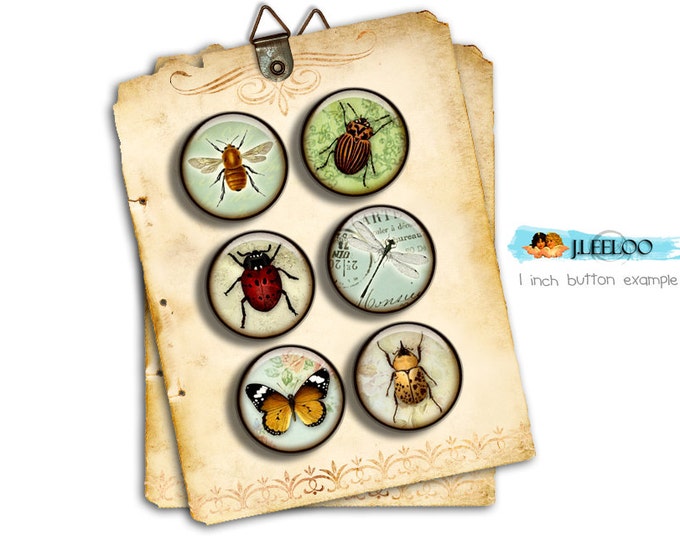Digital collage sheet INSECT 1.313 inch for button machine printable instant download digital sheet nature tn237
