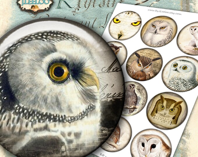 VINTAGE OWL 2.5 inch round digital collage sheet images for pocket magnets stickers cupcake topper instant download printable tn484