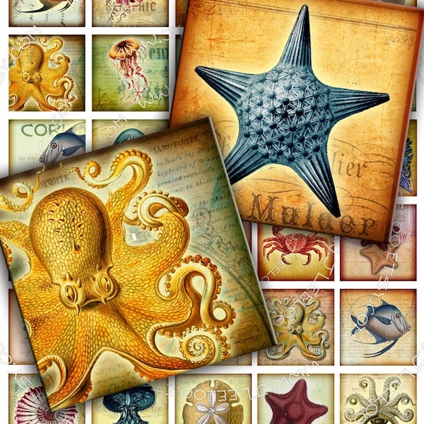 Digital collage sheet SEA LIFE 1.5 inch square octopus jellyfish fish magnet stickers pendant craft instant download printable qu268