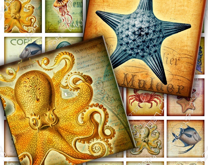 Digital collage sheet SEA LIFE 1.5 inch square octopus jellyfish fish magnet stickers pendant craft instant download printable qu268