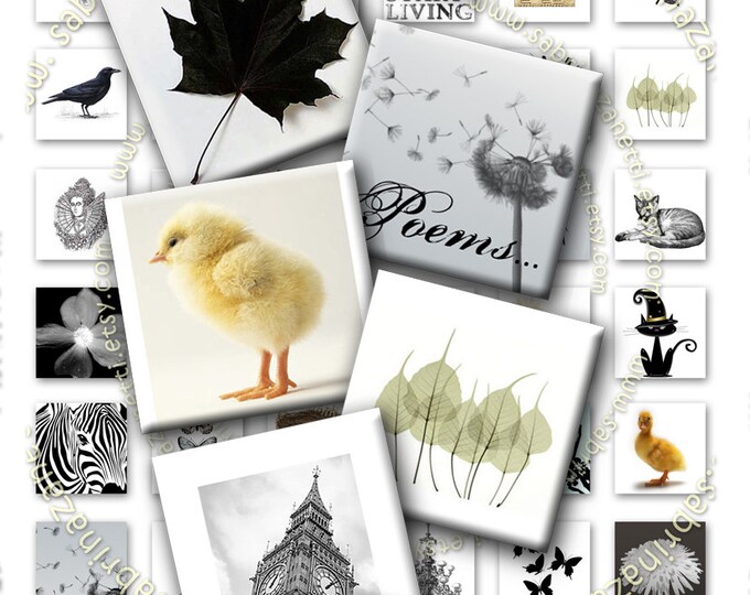 Digital collage sheet BLACK and WHITE LIFE 1x1 square for pendant clipart magnet instant download printable qu118