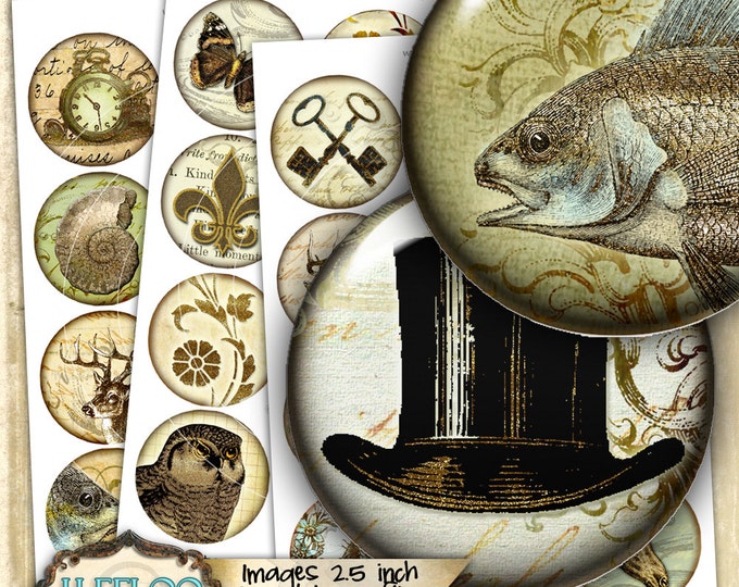 Digital printable sheet VINTAGE images 2.5 inch circle sheets for magnets pendants charms bottlecup pins craft instant download tn472